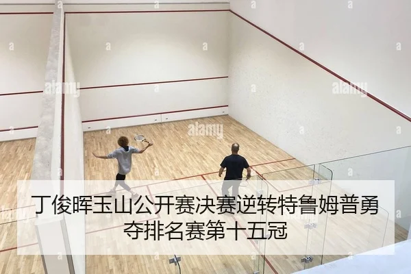 丁俊晖玉山公开赛决赛逆转特鲁姆普勇夺排名赛第十五冠